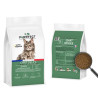 CHAT DELICE