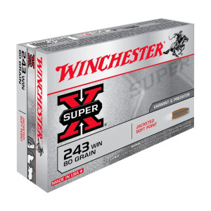 MUNITIONS WINCHESTER 243WIN POWER-POINT 100GR