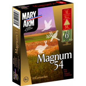 CARTOUCHES MARY ARM CAL 12/76 MAGNUM 54 LAITONNE