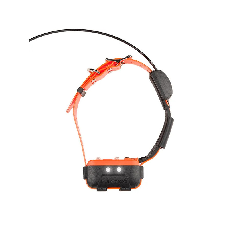 Ensemble de localisation CANICOM GPS 2