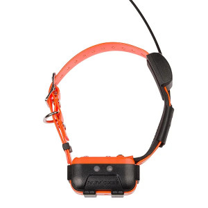 Collier de localisation supplémentaire CANICOM GPS 2