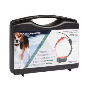 Collier de localisation supplémentaire CANICOM GPS 2