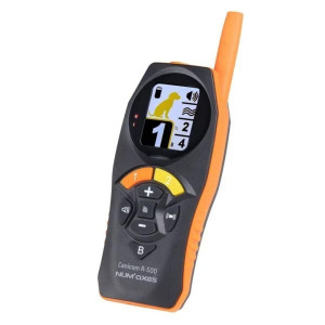 Ensemble de dressage rechargeable CANICOM R-500