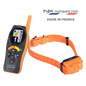 Ensemble de dressage rechargeable CANICOM R-500