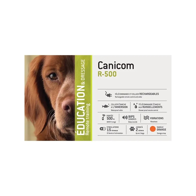 Ensemble de dressage rechargeable CANICOM R-500