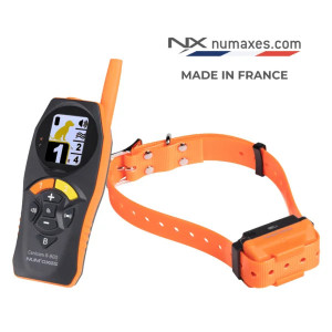 Ensemble de dressage rechargeable CANICOM R-800