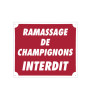 Panneau Ramassage de champignons interdit 30x25 cm