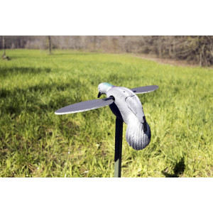 Appelant pigeon MOJO ailes tournantes