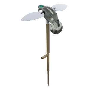 Appelant pigeon MOJO ailes tournantes