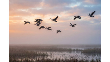 Le guide complet de la chasse en France