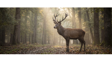 Guide complet de la pêche : tout savoir, saison par saison